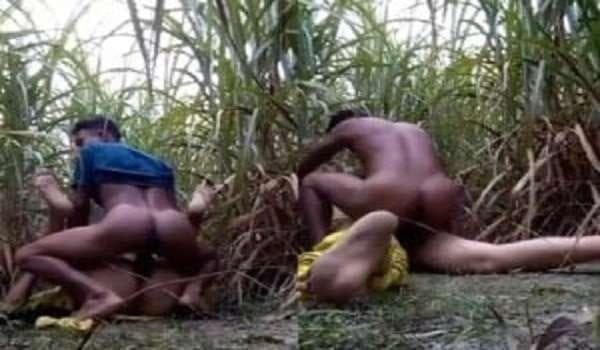 Fucked a Village Girl in the Jungle
