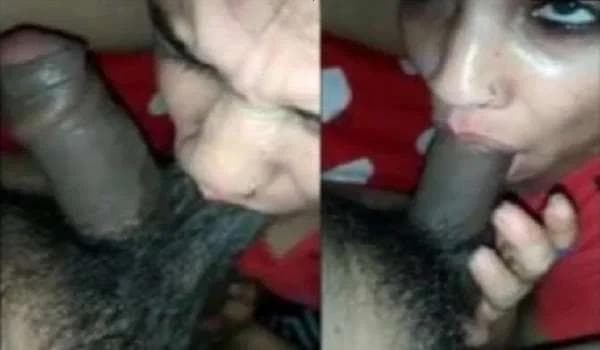 Bhabhi Sucked Hairy Cock